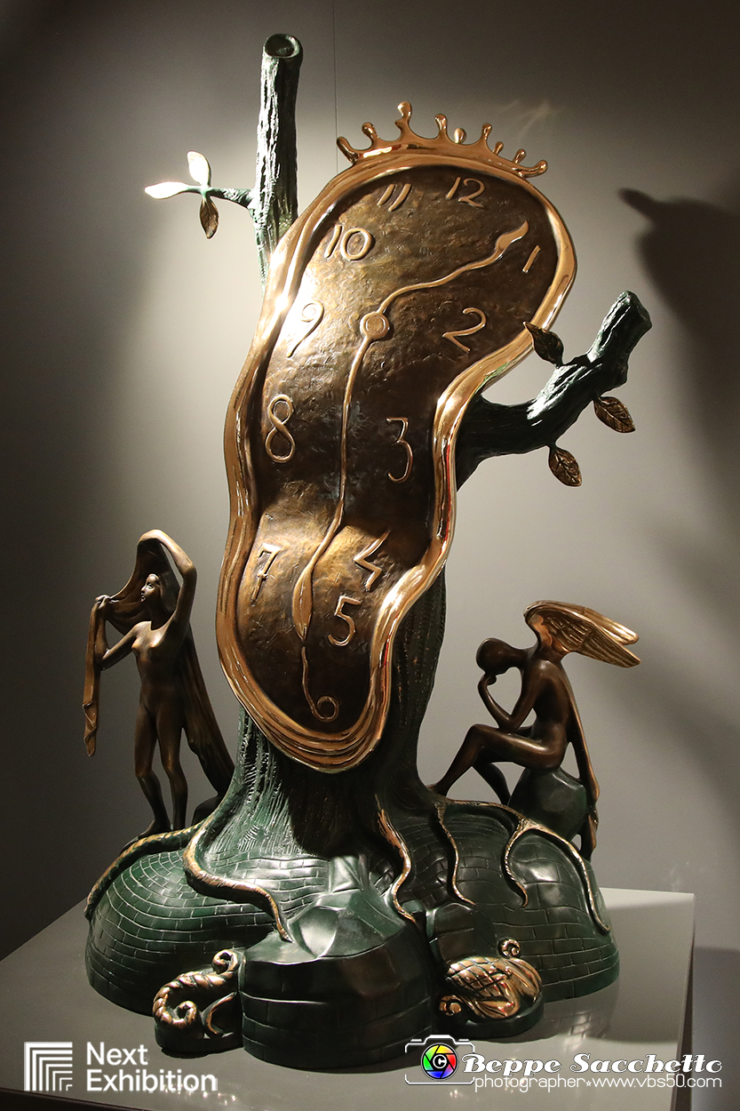 VBS_7808 - Salvador Dalì - The Exhibition.jpg